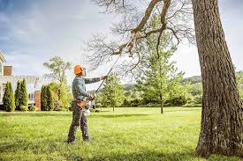 Best Tree and Shrub Care  in Senath, MO